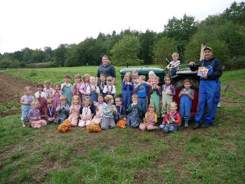 Kindergartenkinder als große Erntehelfer: Spannender Ausflug auf den Kartoffelacker