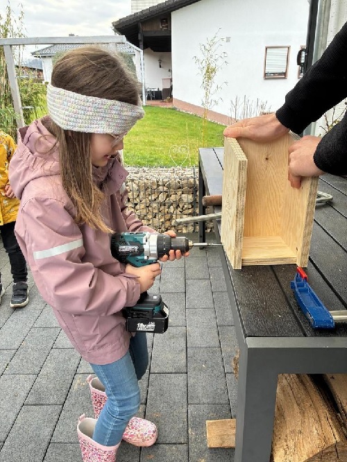 Nistertaler Kinder gestalten Zuhause für Vögel